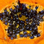 Papaye. פפאיה